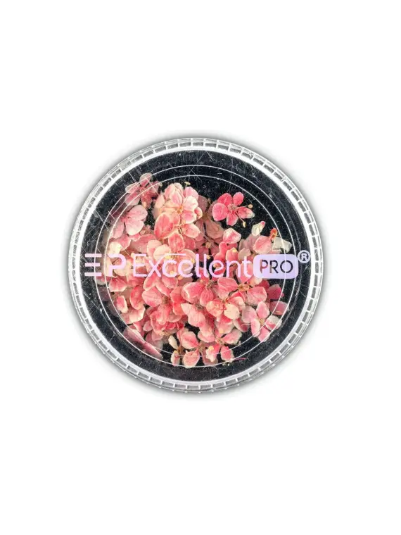 Excellent PRO Deco Dry Flowers 50pcs 001