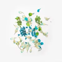 Semilac Flower Flakes Spring Meadow