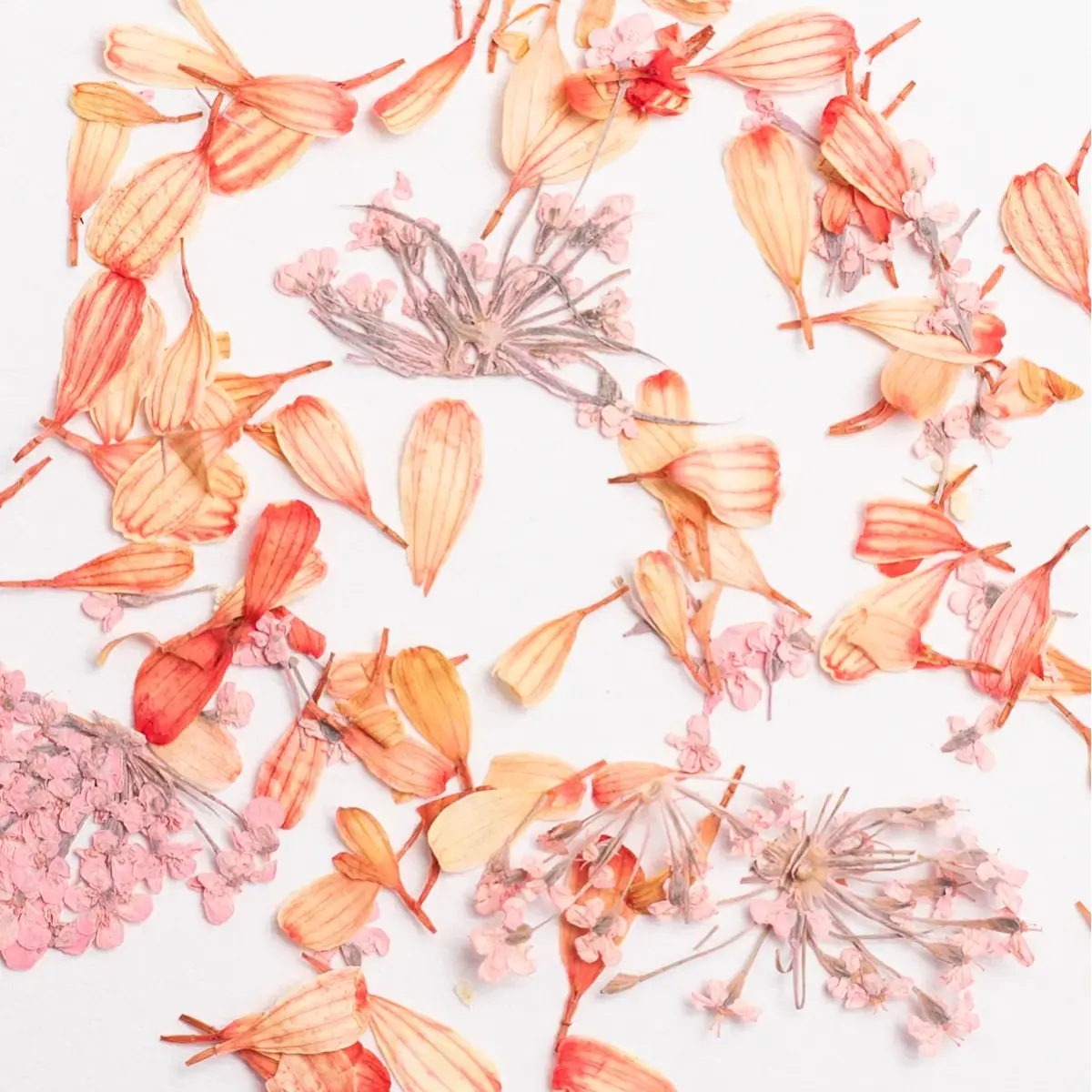 Semilac Flower Flakes Coral Blossom