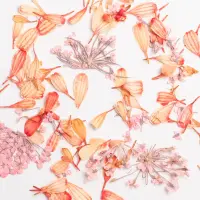 Semilac Flower Flakes Coral Blossom