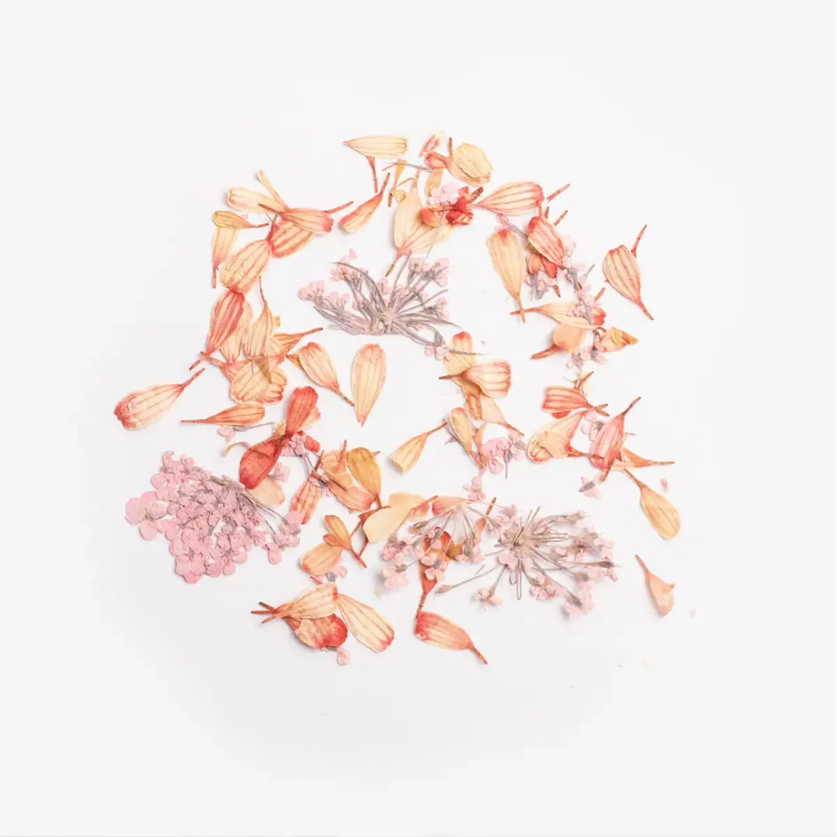 Semilac Flower Flakes Coral Blossom