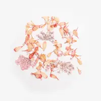 Semilac Flower Flakes Coral Blossom