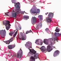 Semilac Flower Flakes Wild Orchid
