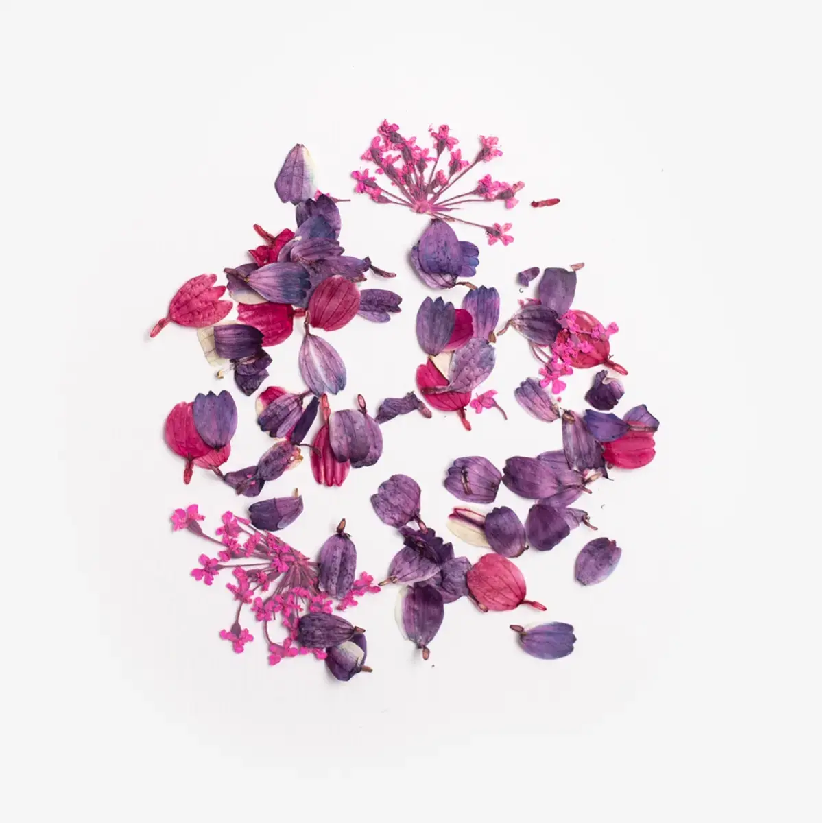 Semilac Flower Flakes Wild Orchid