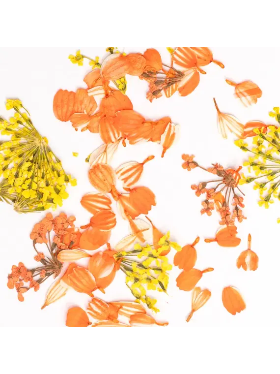 Semilac Flower Flakes Golden Sunset