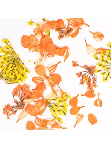 Semilac Flower Flakes Golden Sunset