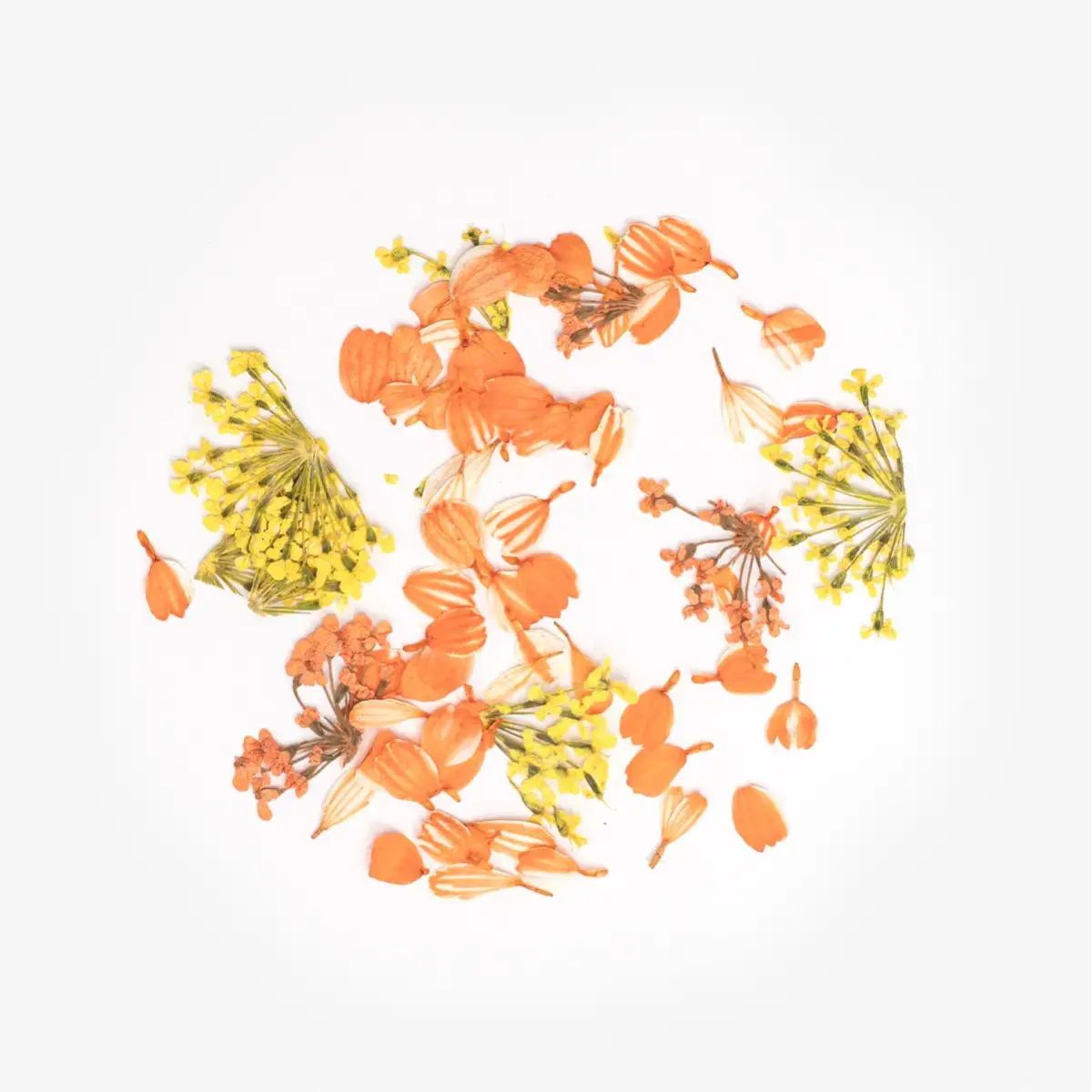 Semilac Flower Flakes Golden Sunset